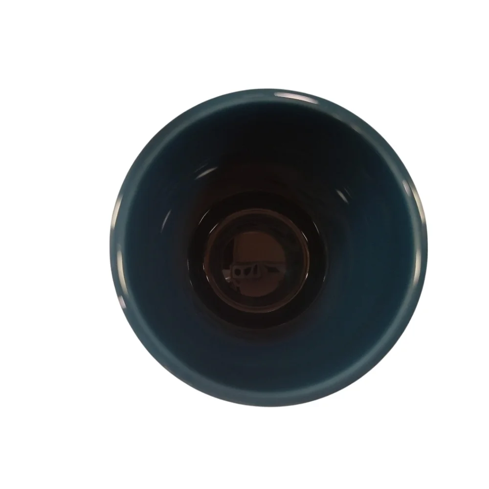 Fiesta Juniper Juice Tumbler